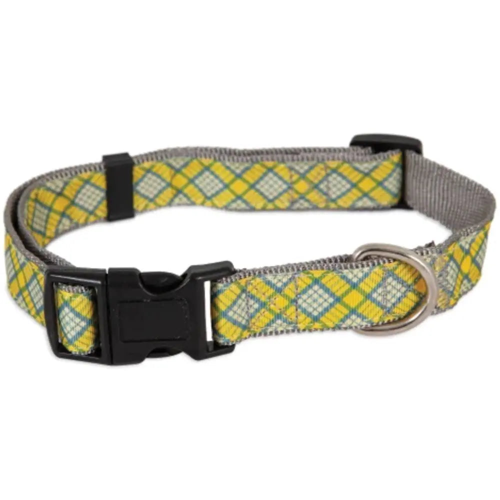 Aspen pet dog collar