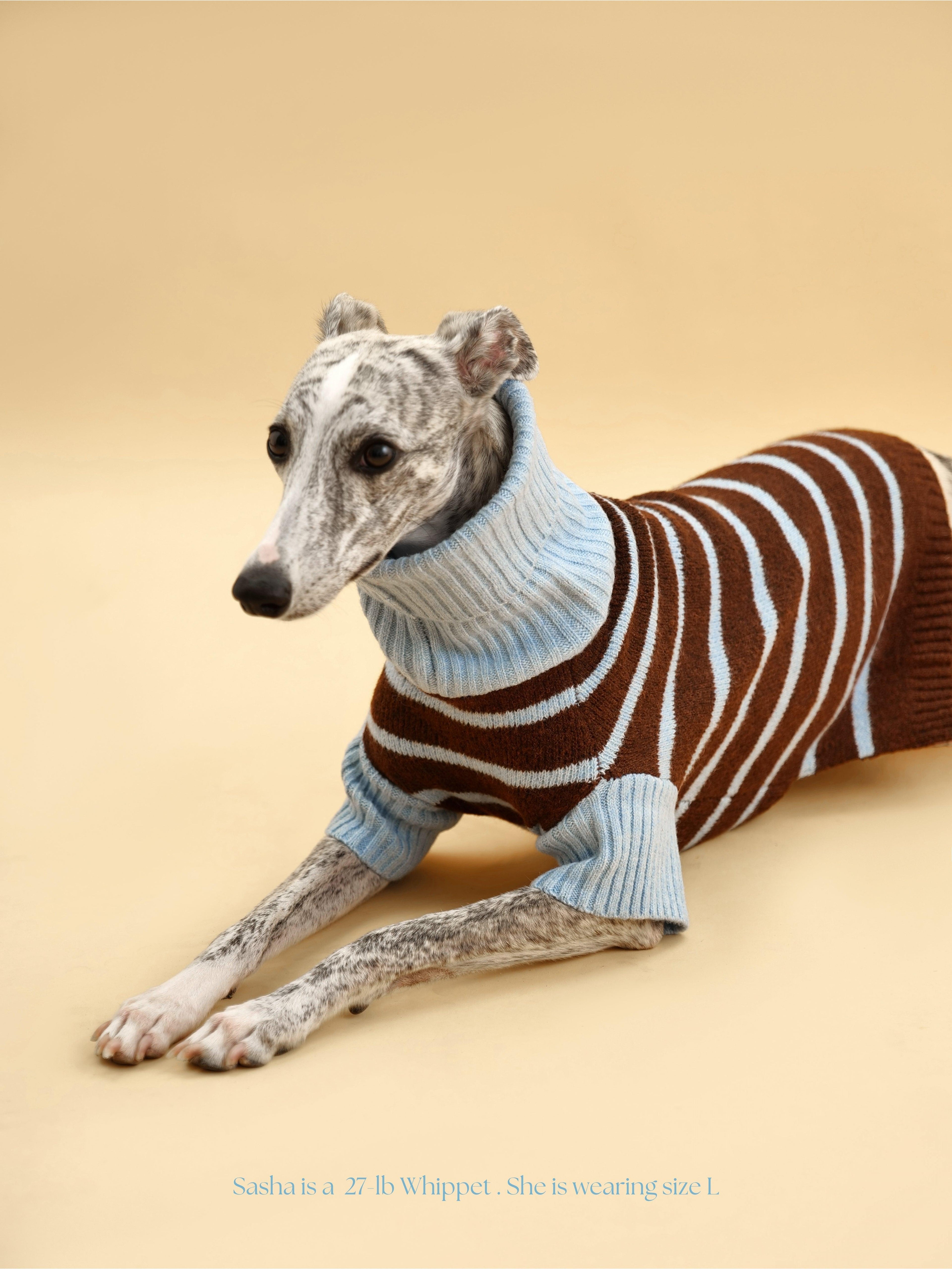 Bluebell Stripes Sweater