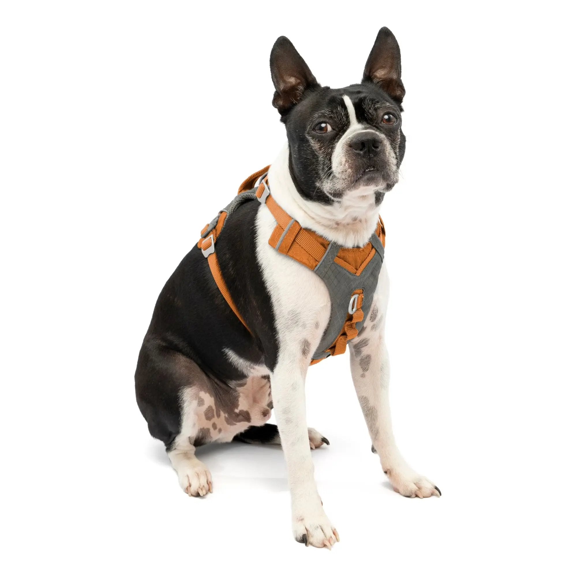 Journey Air Dog Harness, Vest Harnesses for Dogs, Pet Hiking Harness for Running & Walking, Reflective, Padded, Includes Control Handle, No Pull Front Clip (Orange, Small)