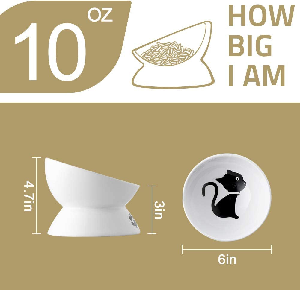 Raised Cat Bowl for Dry Wet Cat Food