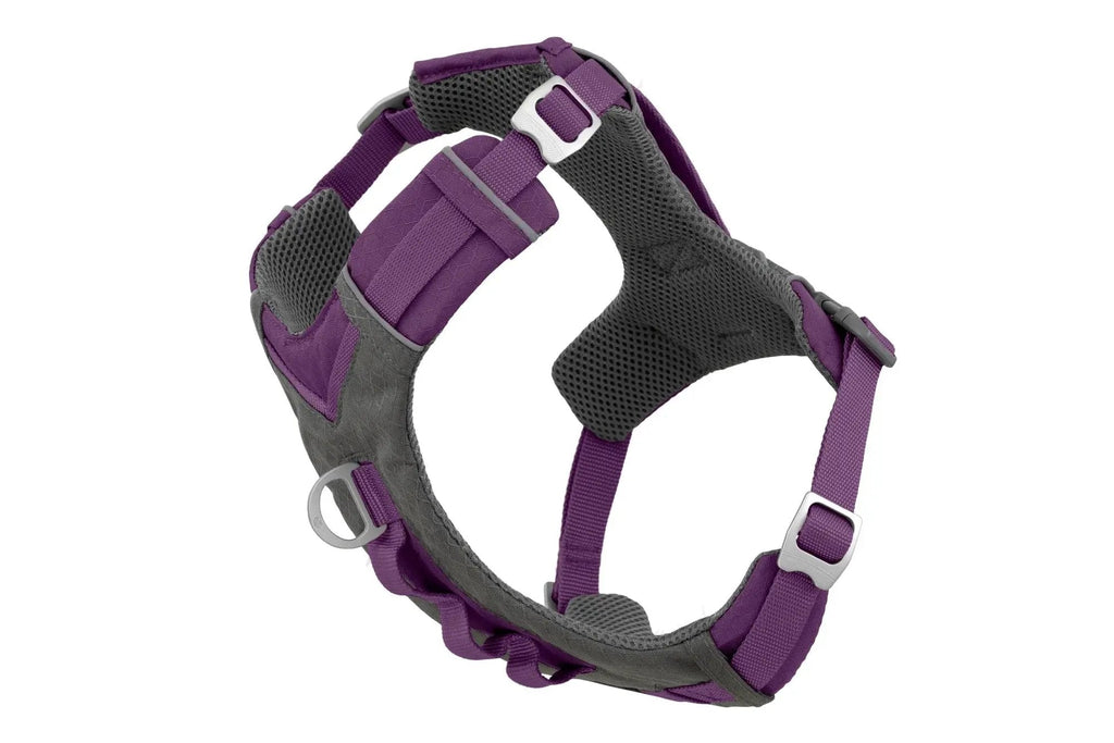 Journey Air Dog Harness, Reflective, Includes Control Handle, No Pull Front Clip - Purple, S