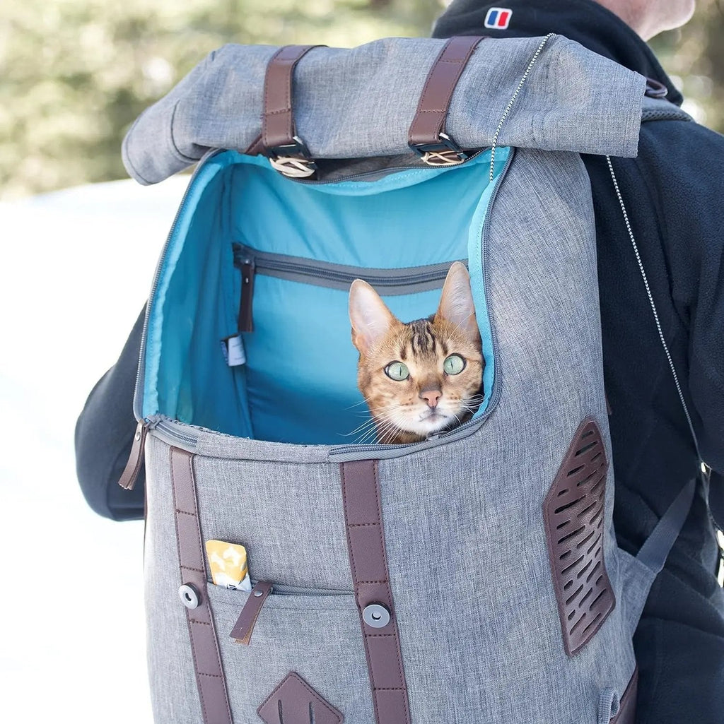 Dog Carrier Backpack for Small Pets - Hands-Free Pet Travel Backpack - Armorsole Base - Convertible Backpack to Carrier - Rugged Pet Backpack - Heather Grey