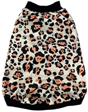 Luxury Bomber Jacket