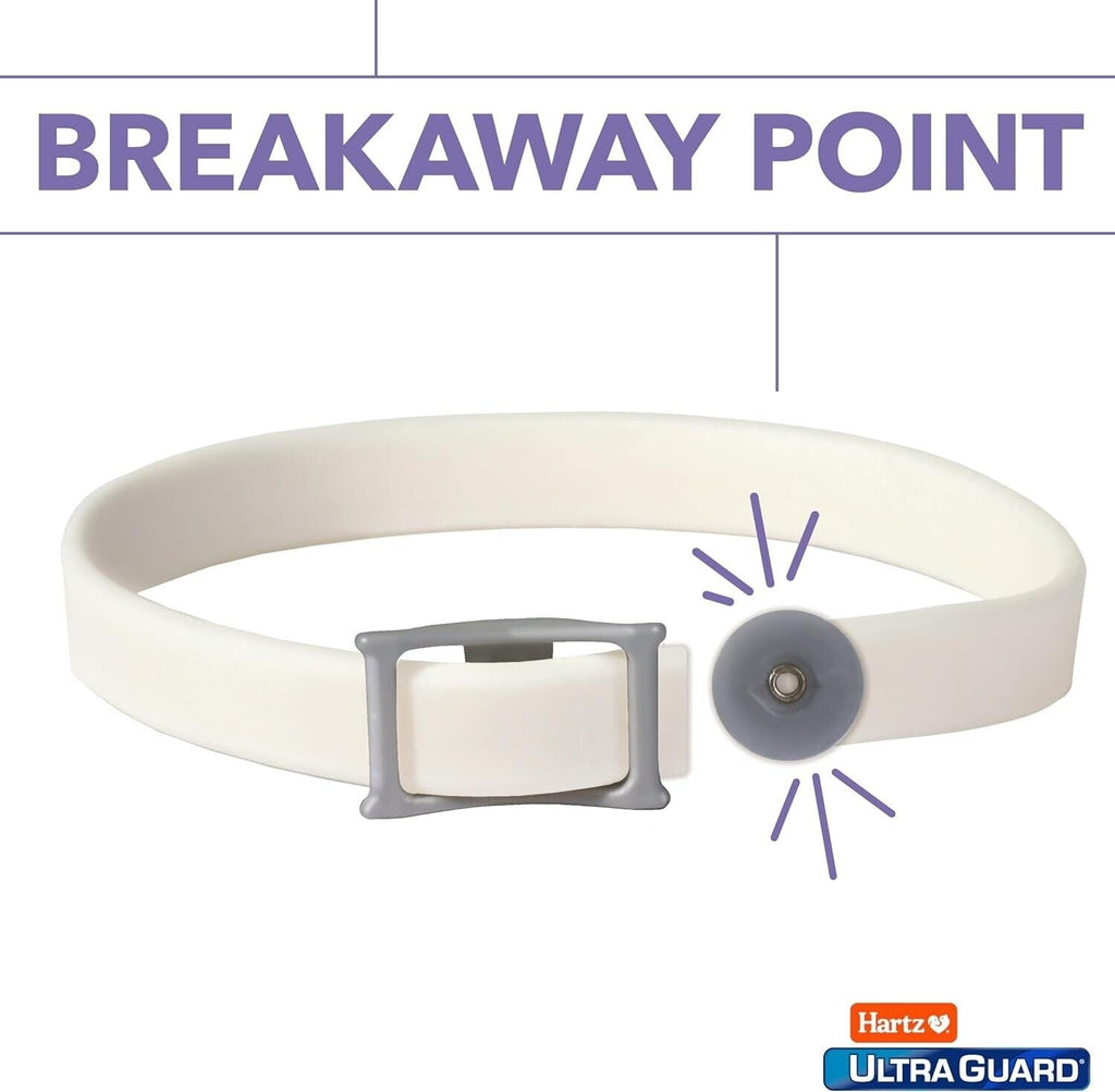 Protect Your Feline Friend with Hartz Ultraguard Flea & Tick Collar - Fresh Scented & Long-Lasting Protection for Cats & Kittens