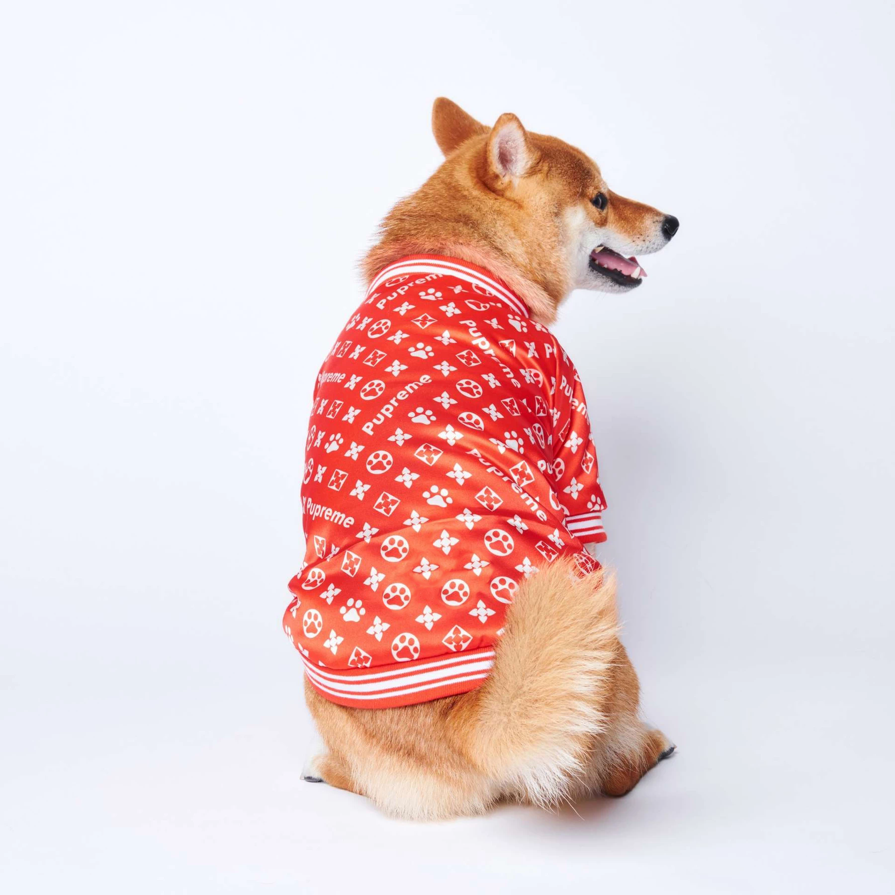 Luxury Bomber Jacket