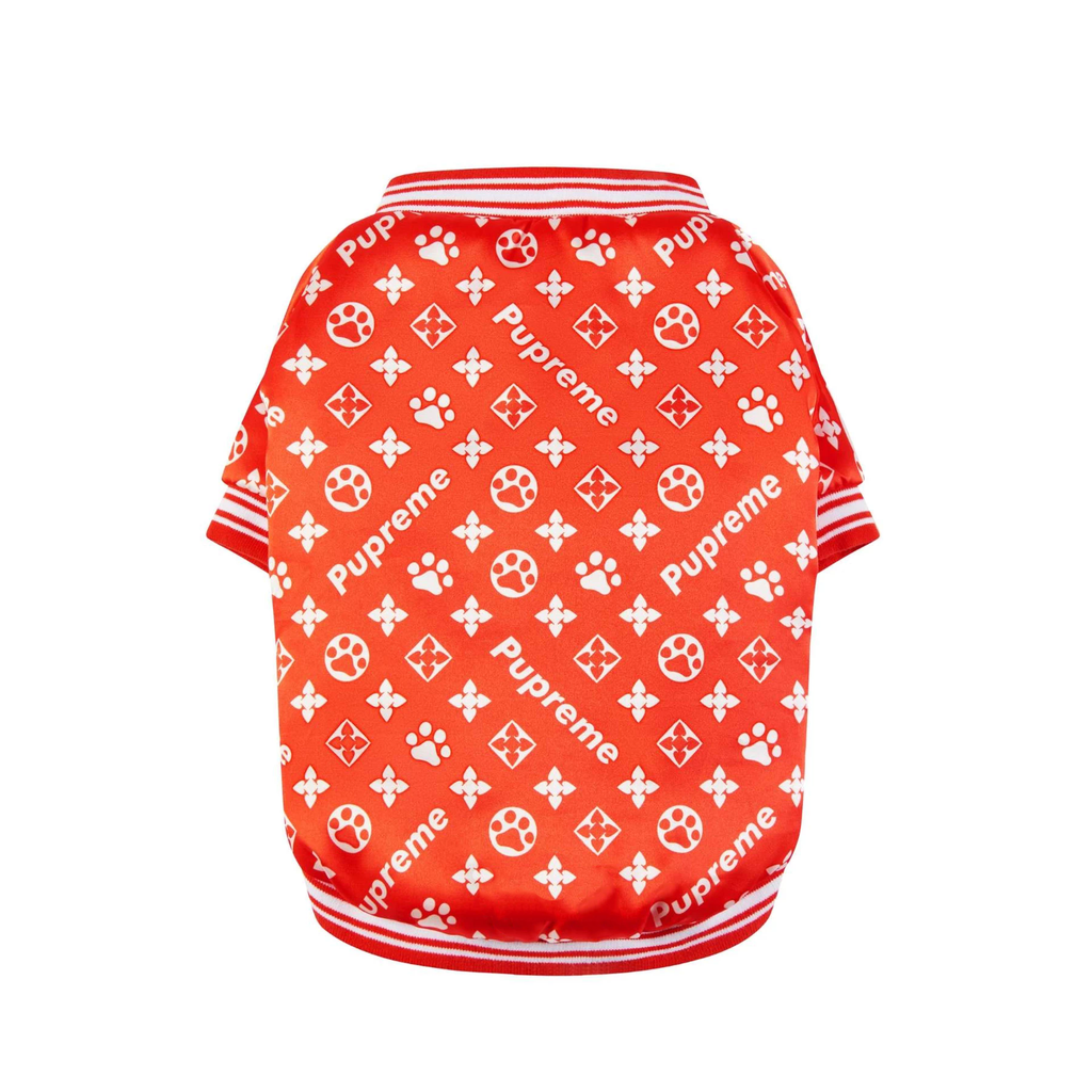 Luxury Bomber Jacket