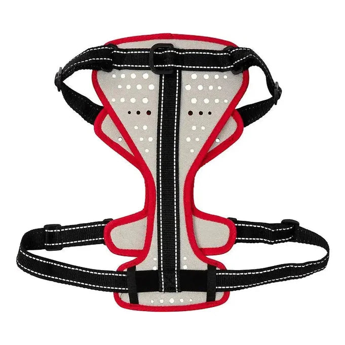 Nathan reflective dog harness