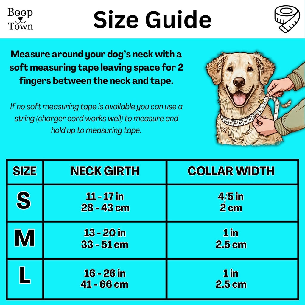 Purple Daisy Collar + Leash Set