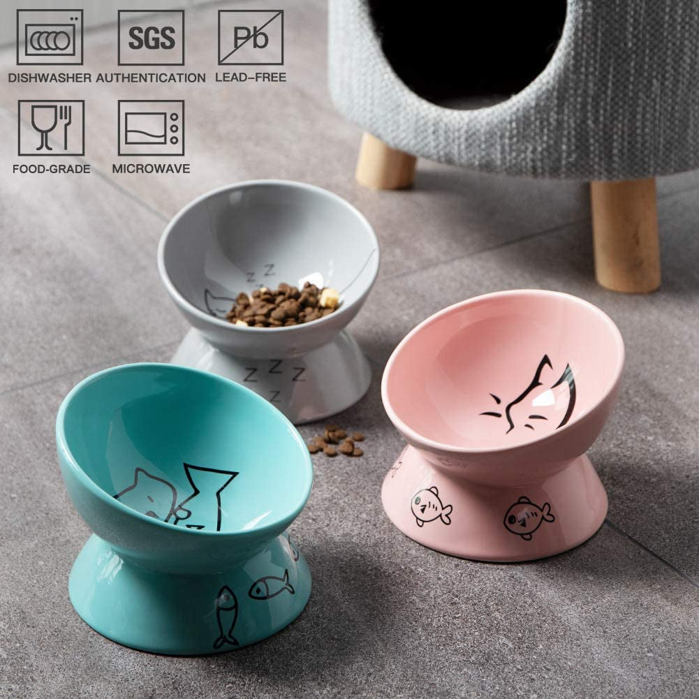 Raised Cat Bowl for Dry Wet Cat Food
