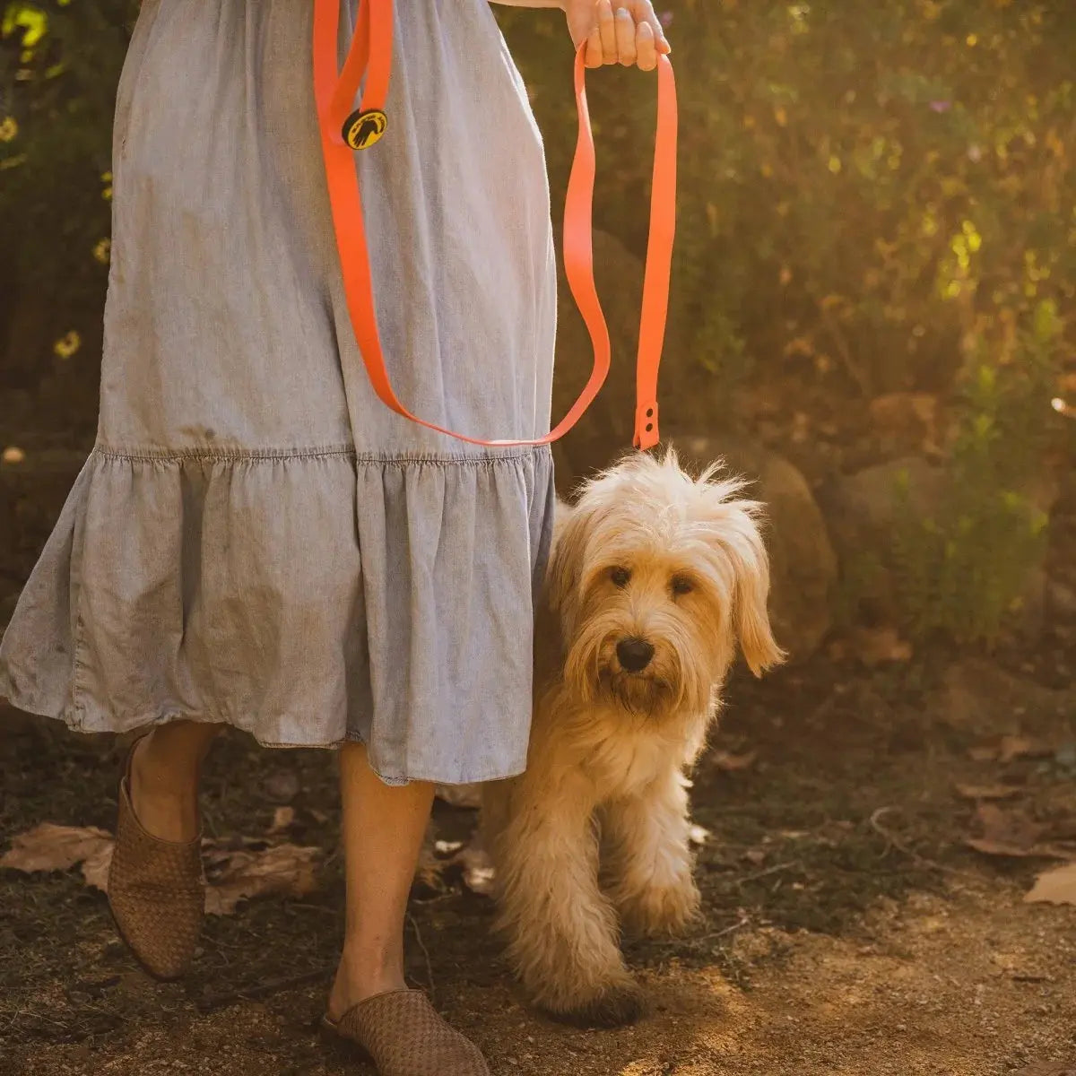 Body Glove Biothane Waterproof Leash