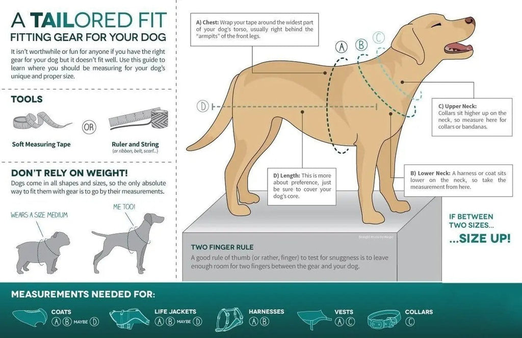 Loft Jacket, Reversible Dog Coat, Dog Coat for Cold Weather, Water-Resistant Dog Jacket with Reflective Trim, Black/Yellow, Medium