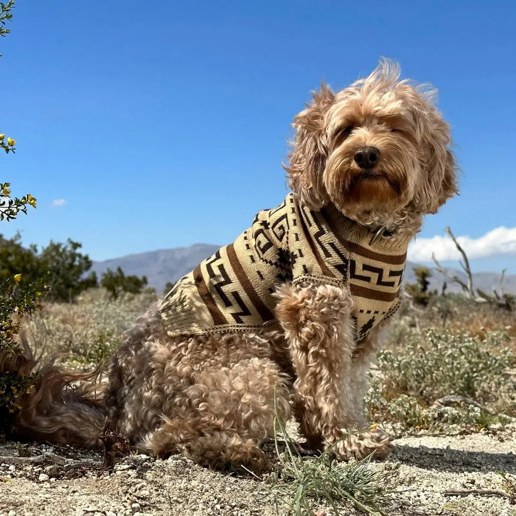 Pendleton Dog Sweater