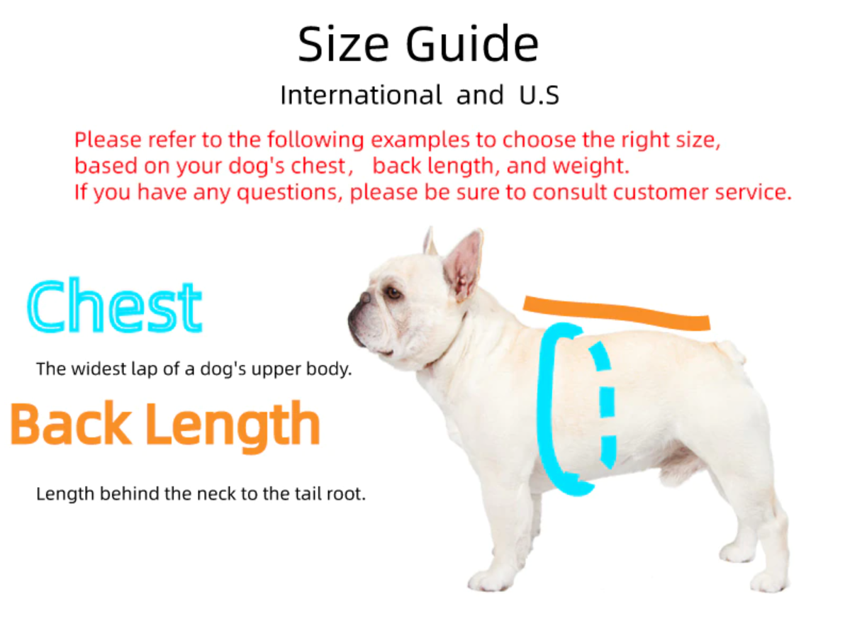 Luxury Bomber Jacket